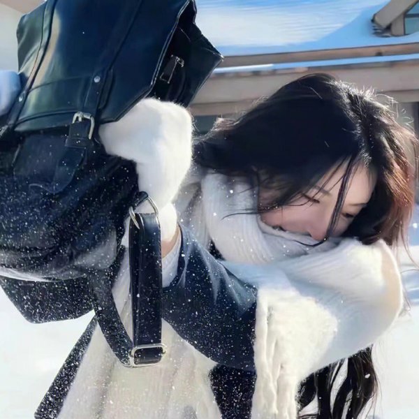新基督山伯爵